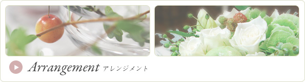 MR.BROWN | ミスターブラウン - Arrangement アレンジメント